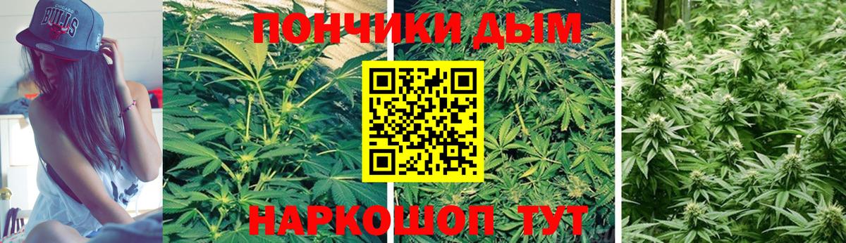 Канабис ГИДРОПОН Заволжье